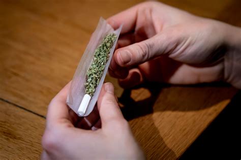 cannabis legalisierung aktueller stand heute
